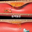 해당화의 효능 이미지