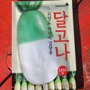 무씨 이미지