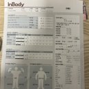 유어스플레르 이미지