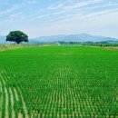 추동농장 이미지