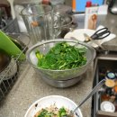 남해초등학교 | 남해 시금치 보물초 후기 | 쌍둥이 아빠의 찐 솔직 리뷰 (feat. 시금치무침 만들기)