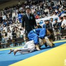 오아시스 유도클럽 이미지