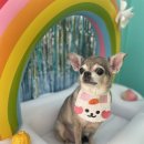 황제살롱 이미지