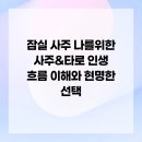 22가지 타로 성격분석 및 진로설정 | 잠실 사주 나를위한 사주&amp;타로 인생 흐름 이해와 현명한 선택