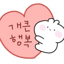 도리신동래점 네이버블로그