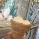 울릉도이사부호텔
