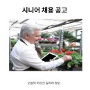 감천어린이집 | 어르신 일자리 정보