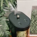 자연가습 이끼 테라리엄 이미지