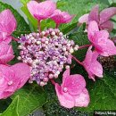 무정농장 이미지