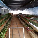 에덴농원 이미지