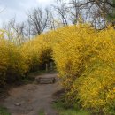 전망좋은곳 이미지