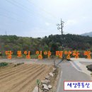 홍천군 전 답 대지 임야 등 태양광 발전소 부지 토지 857,237㎡ 259,314p 75억 원 매매 이미지