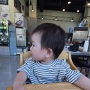 화성시샤브샤브 맛집 투어! 국물이 끝내주는 정성담은샤브칼국수 향남점 솔직 후기