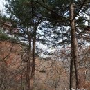 (주)양지대둔산삭도 | (무주여행) 덕유산 산행, 설천봉 ~ 향적봉 ~ 백련사 ~ 덕유대야영장. (2011년10월29일)