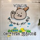 멍애견 | 멍하이루 용인 죽전 실내애견카페 솔직후기