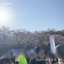 2024 대청호 벚꽃길 마라톤 대회 | 2024 대전 대청호 벚꽃길 마라톤 대회 후기🌸 (2024.04.13 / 10km)