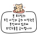 삼손스포츠수기명가 이미지