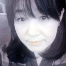 뒤뜰 이미지