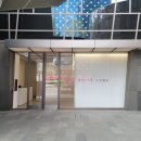 모나 하툼 개인전 감상 후기
