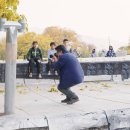 베어스