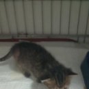 염리초교 이미지