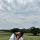 들꽃세상 | [Wedding-17 셀프웨딩 2] 제주 들꽃상점에서 워너비 부케로 저렴하게 셀프웨딩 찍기!