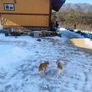 맘스주막 이미지