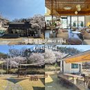 영천시 경계 도로옆 | 경북 영천 은해사 카페 벚꽃 뷰 카페라샹떼