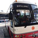 동해항 국제여객터미널 이미지