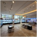 도그마루 이미지