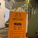 캠핑고양이 도곡점 | [강남/애견카페] 사랑스러운 고양이들과 힐링하기 좋은 강남 고양이 카페 '캠핑고양이 양재점' 솔직 후기