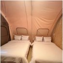 대덕리 | 천안 글램핑 아이랑 가기 좋은 디디글램핑 1박 후기 또 가고 싶은 곳