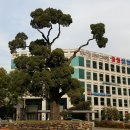 몽마르뜨공원 이미지