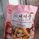 대진청과 이미지