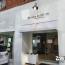 살롱드 비인 이미지