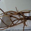 뿌리농장 이미지