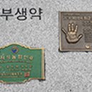 동부생약영농조합법인 네이버블로그