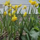 서소문파출소 이미지