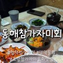 동해참가자미회