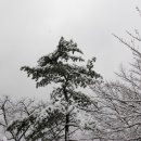 능동공원 이미지