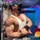 머슬엑스짐 이미지