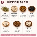 한방다이어트 한약 부작용 비용 후기 저렴한 제품 종류는?