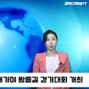 고령군,제10회 대가야 왕릉길 걷기대회 개최 경북도민방송TV 이미지