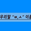 마리별미리별 이미지