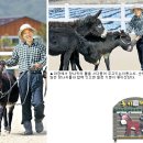 [農으로 여는 새로운 삶]강원 홍천서 당나귀체험농장 운영하는 귀농인 이용수씨 이미지