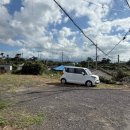 신흥늦장 이미지