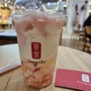 프로즌루틴 이미지