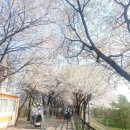 양평생활체육공원(테니스장) 이미지