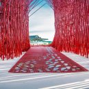 영월Y파크(술샘박물관) 이미지