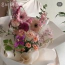 유비아플레르 이미지